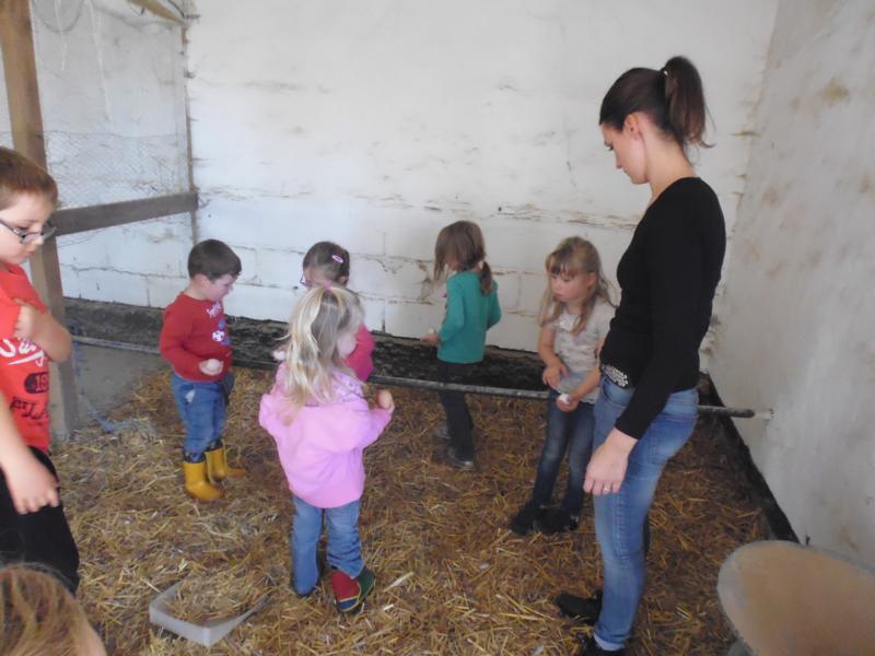 2017-10-14-15-42-34_Bilder Ausflug Bauernhof Familie Bein